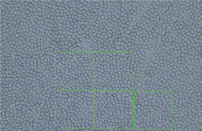 _ _20210302154950