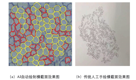 信图片_20210302155038